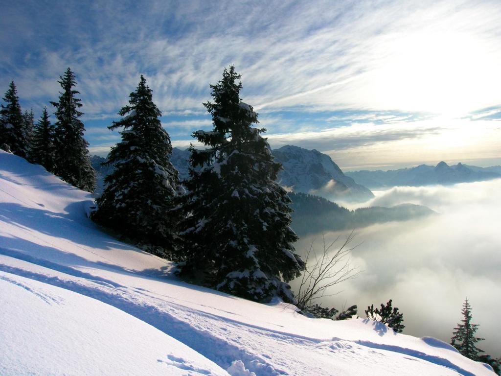 Krosbacher Hof เซเฟลด์ อิน ทิโรล ภายนอก รูปภาพ
